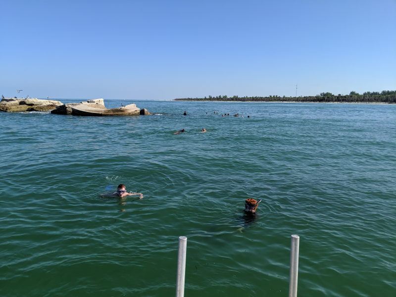 snorkelingategmontkey20190907t0949158 The Honors Program UT